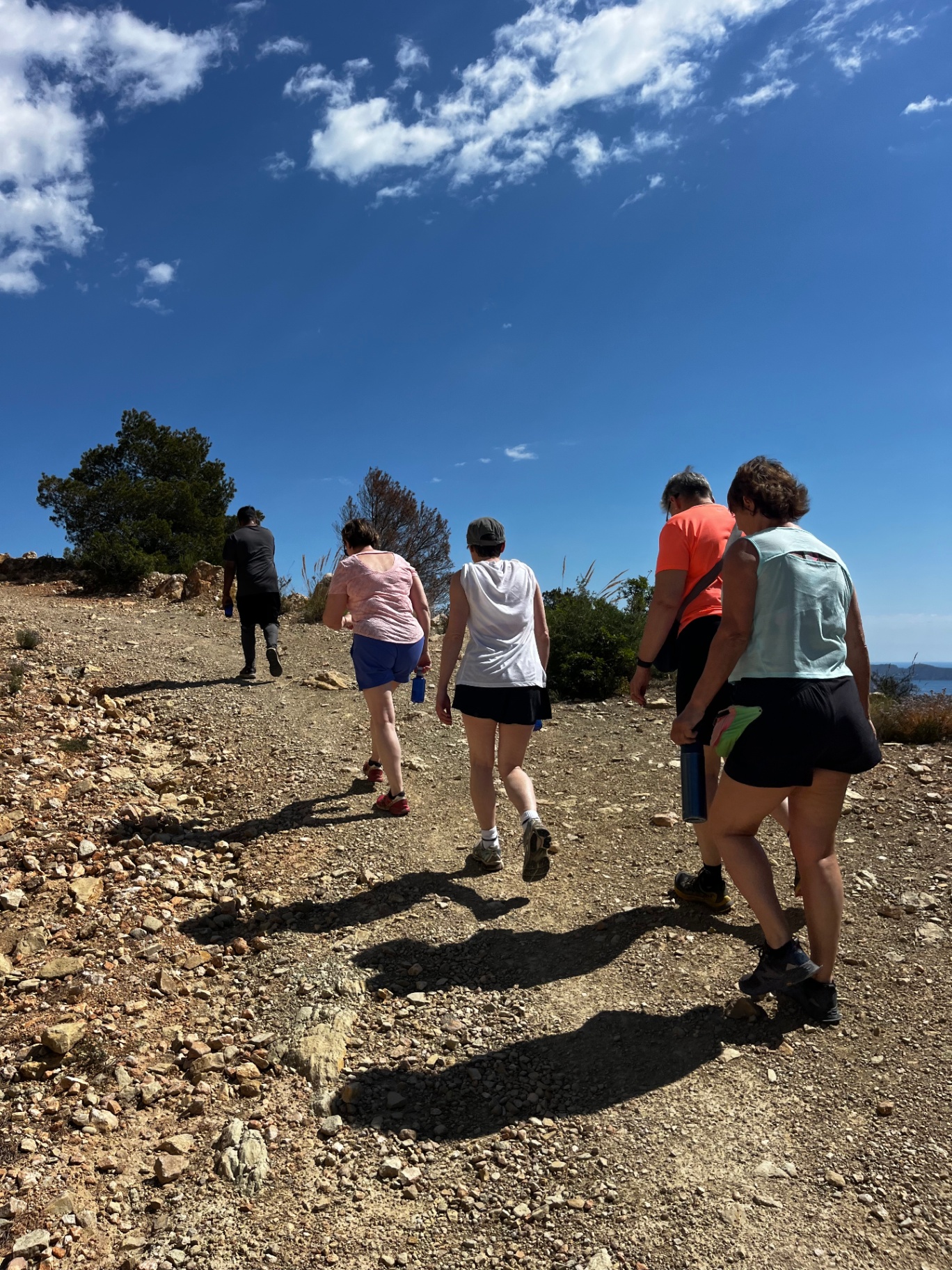 Group hiking on trail