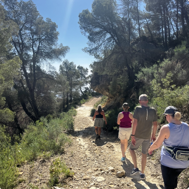 Group hiking through scenic trails